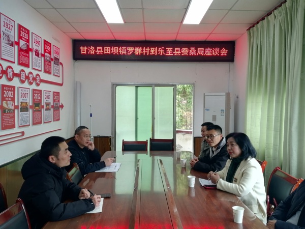 黄杨_副本.jpg 黄杨_副本.jpg